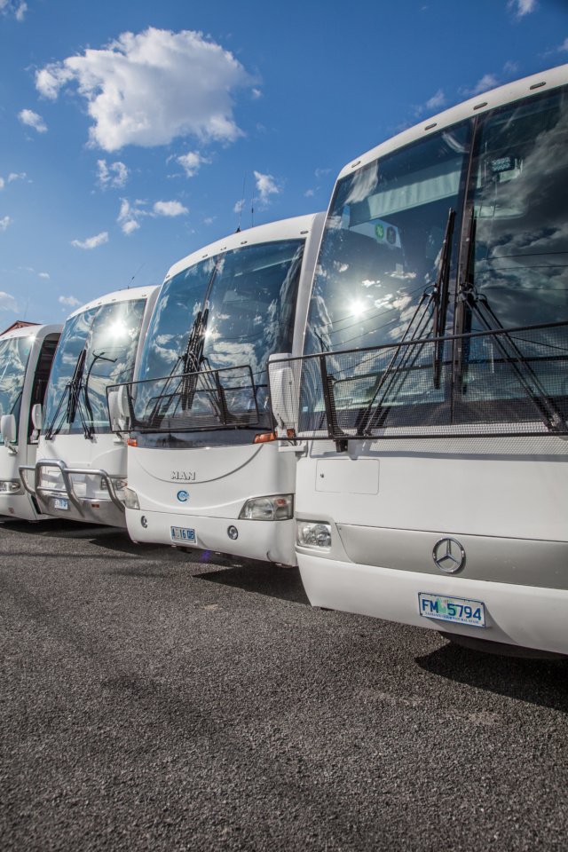 Mc Dermotts Coaches HD009