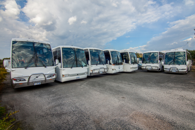 Mc Dermotts Coaches HD003